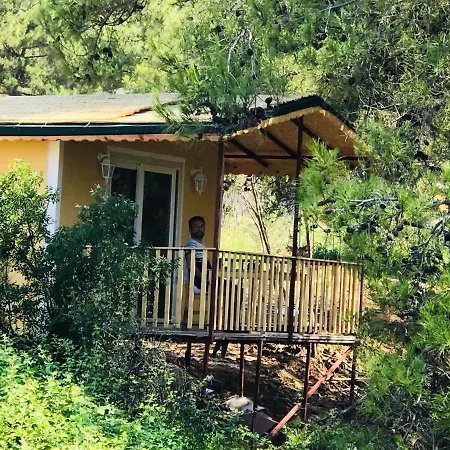 Natural Bungalow * Karagedik